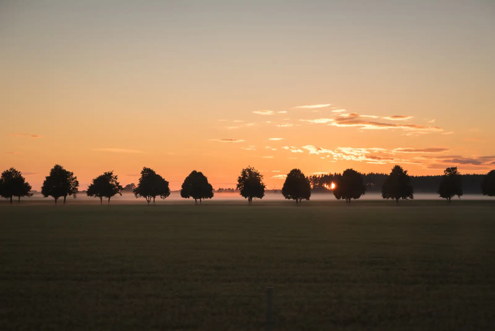 reconnexion à la nature pour gérer son stress mais aussi la sophrologie comme aide à la gestion du stress