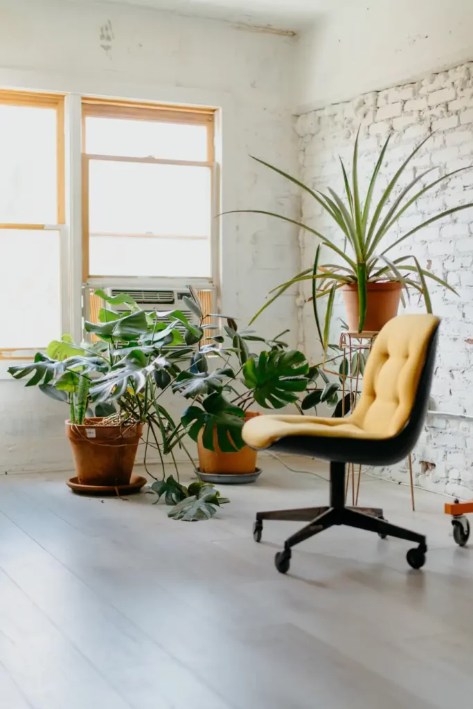 chaise dans un bureau de thérapeute sophrologue 